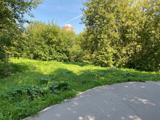 summer in city park at dry sunny day