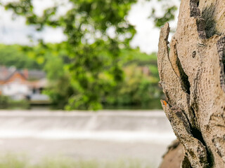 Obraz premium Place de barnabé