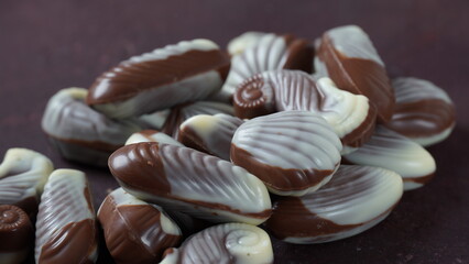 Belgian seashells traditional chocolate candies. Belgian milk chocolate bonbons shaped as seashells with clams, seahorses