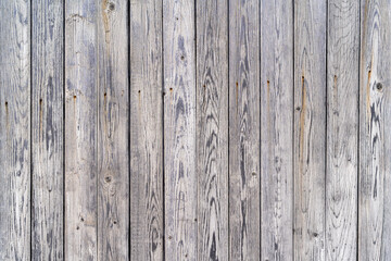 Fototapeta premium Vintage fence of old wooden boards. Texture of an aging wooden surface. Beautiful wooden background.