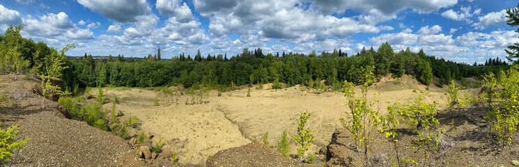 landscape with trees