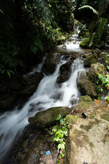 Fototapeta premium A small beautiful waterfall flowing through black rocks, Ogru water, Ban San Charoen, Nan Province.
