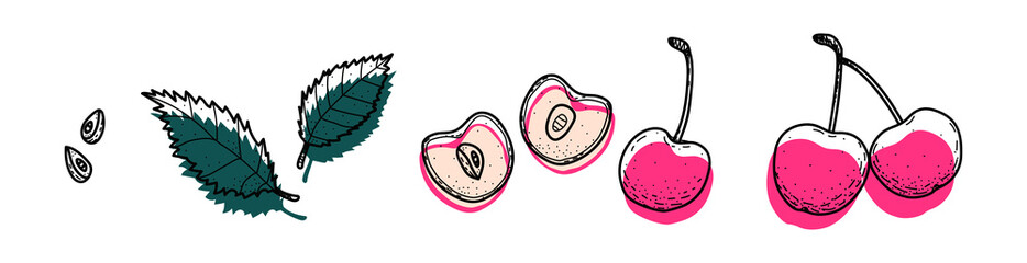 Cherry set. Abstract modern set of cherry icons, whole and sliced isolated on a white background. For internet, printing, product design, logo. Line, contour. Vector hand-drawn flat illustration.