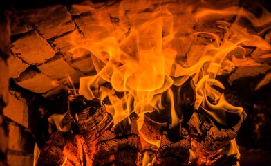 A few birch logs burning in the fireplace
