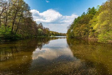 Fototapeta na wymiar Dam with trees around during beautiful springtime day with blue sky and clouds