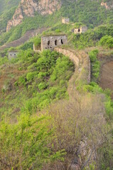Fototapeta na wymiar Ancient ecological wall, north China, elm ridge, the Great Wall