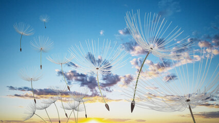 Dandelion leaves flying with the wind. 3D illustration