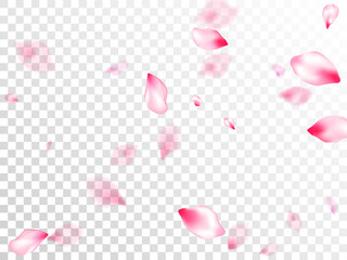 Spring tree flowers parts, airy flying petals