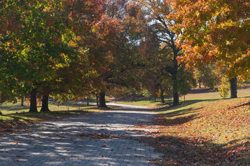 Trees with fall leaves at the height of the colorful autumn display line a lovely pathway through a...
