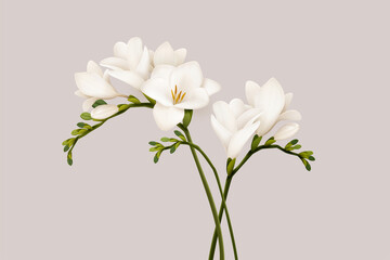 3d beautiful freesia flowers - obrazy, fototapety, plakaty
