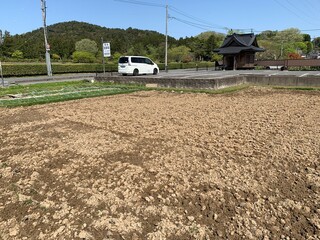 平泉の毛越寺通り