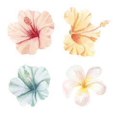 Set of watercolor tropical flowers. Hand painted clipart. Perfect for wedding, invitations.
