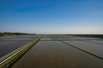 Fototapeta premium 地平線に見える田園、田植えの季節