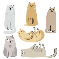 Cats  set. Hand drawn flat vector illustration isolated on white. Funny pet animal characters.