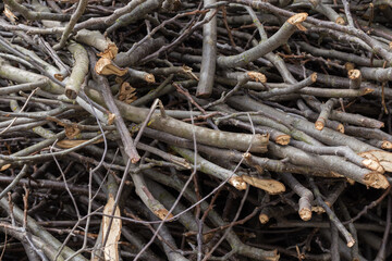 Background of the heap of the different dry trees branches
