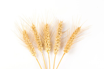 ripe wheat ears isolated on white background.