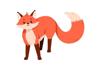 Obraz premium Cute fox standing with fluffy furry tail. Wild orange animal cub. Funny adorable sweet forest character portrait, looking and smiling. Flat vector illustration isolated on white background