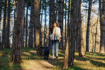 Fototapeta premium A smiling young attractive woman playing and walking with her Labrador puppy in a city park. The concept of pet and animal care.