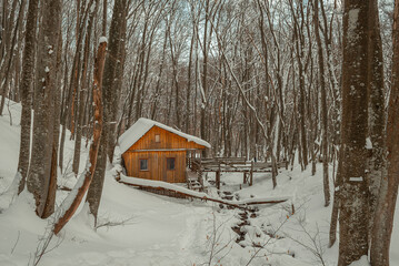An abandoned wooden house in the winter forest