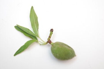 Fresh green almonds nuts with leaves on white background