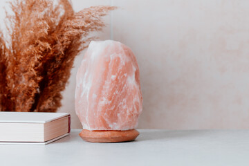 Himalayan salt lamp on table with home plants and book