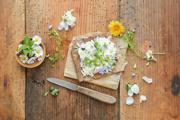 Gänseblümchen Brot Salat Wildkräuter essbare Blüten