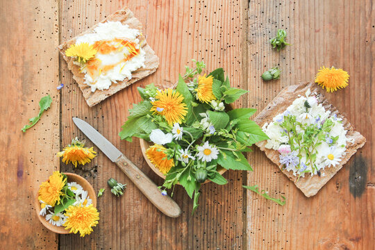Wildkr&auml;utersalat Wildkr&auml;uter Salat Brot essbare Bl&uuml;ten Bl&auml;tter L&ouml;wenzahnhonig L&ouml;wenzahn Honig 