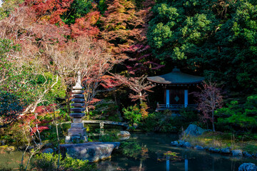京都の毘沙門堂で見た、晩翠園の色鮮やかな紅葉