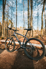 Fototapeta na wymiar Air fork bicycle for downhill riding standing on the ground in a sunny forest background. Concept of active sports hobby