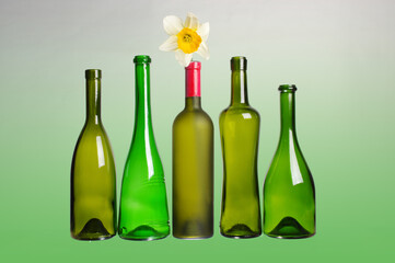 Empty wine bottles and flowers daffodils. On a green gradient background.