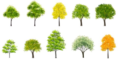  set of tropical green tree side view isolated on white background for landscape and architecture...