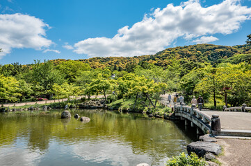 Fototapeta premium 新緑の円山公園