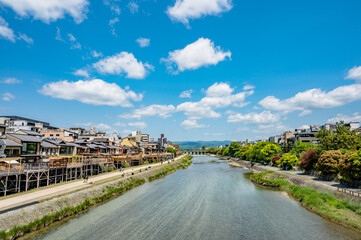 新緑の京都鴨川