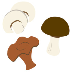 Fototapeta premium Set of three hand drawn mushrooms in cartoon style. Champignon, chanterelles, white mushroom.