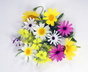 Multicolored set of wildflowers on white. Daisies. Yellow white pink flowers.
