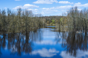 Fototapeta na wymiar Spring landscape with a flooding river. Flooded trees stand in the water