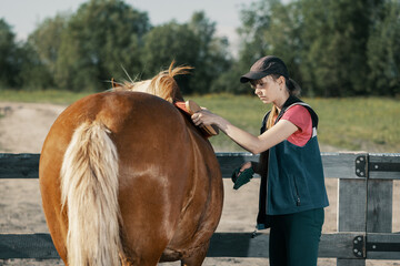 Teenage girl brushing horse neck with brush in outdoors.