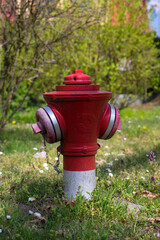 Hydrant wodny na trawniku przed domem - obrazy, fototapety, plakaty