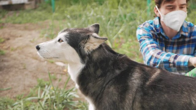 man treats dog with spray against fleas and ticks, outdoor, in a protective mask. Zilch