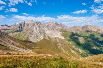 landscape in the mountains