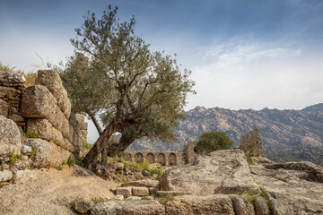 Lake Bafa is a lake and a nature reserve situated in southwestern. At the innermost north-east tip of the lake is the village of Kapikiri, as well as the ruins of Heraclea by Latmus.