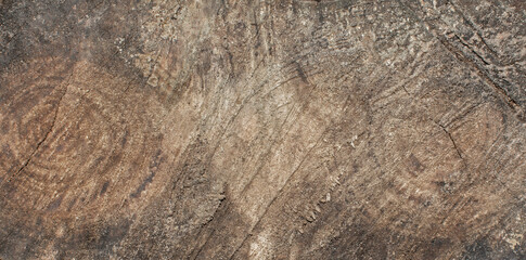 texture of wood, abstract texture background