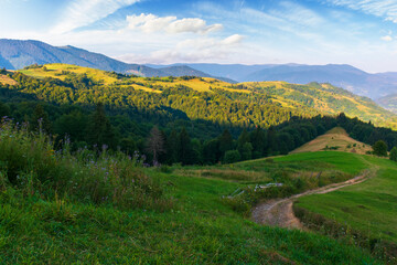 Fototapeta premium mountainous countryside landscape in the morning. path down the hill in to the rural valley. sky with fluffy clouds