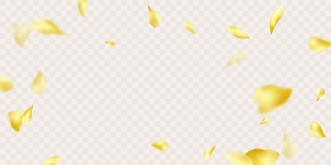 3d rendering of falling sunflower petals on a white background - obrazy, fototapety, plakaty