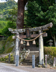 森の中の鳥居｜torii gate