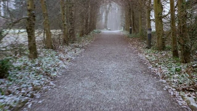 Drohnenfoto, Drohnenaufnahme, Video Flug durch einen Laubengang zum Schlosspark von Schloss Rauischholzhausen im Winter, Schnee, Ebsdorfergrund, Hessen, Deutschland