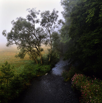Flusslandschaft
