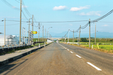 Fototapeta na wymiar 日本の夏の田んぼの田舎道