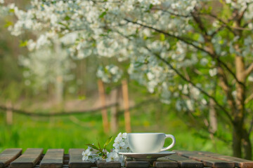 Cup on a table next to blooming tree in a spring garden - Powered by Adobe