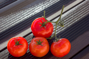 red tomatoes close up with drops on a dark background, copy space for text